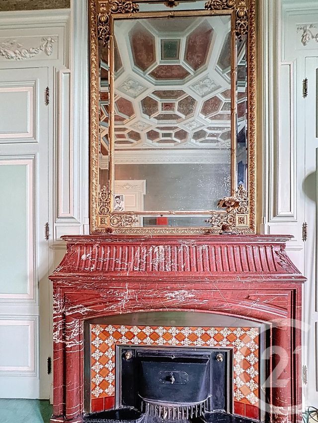 Appartement F6 à vendre - 5 pièces - 188.42 m2 - LYON - 69007 - RHONE-ALPES - Century 21 Le 7 De Coeur